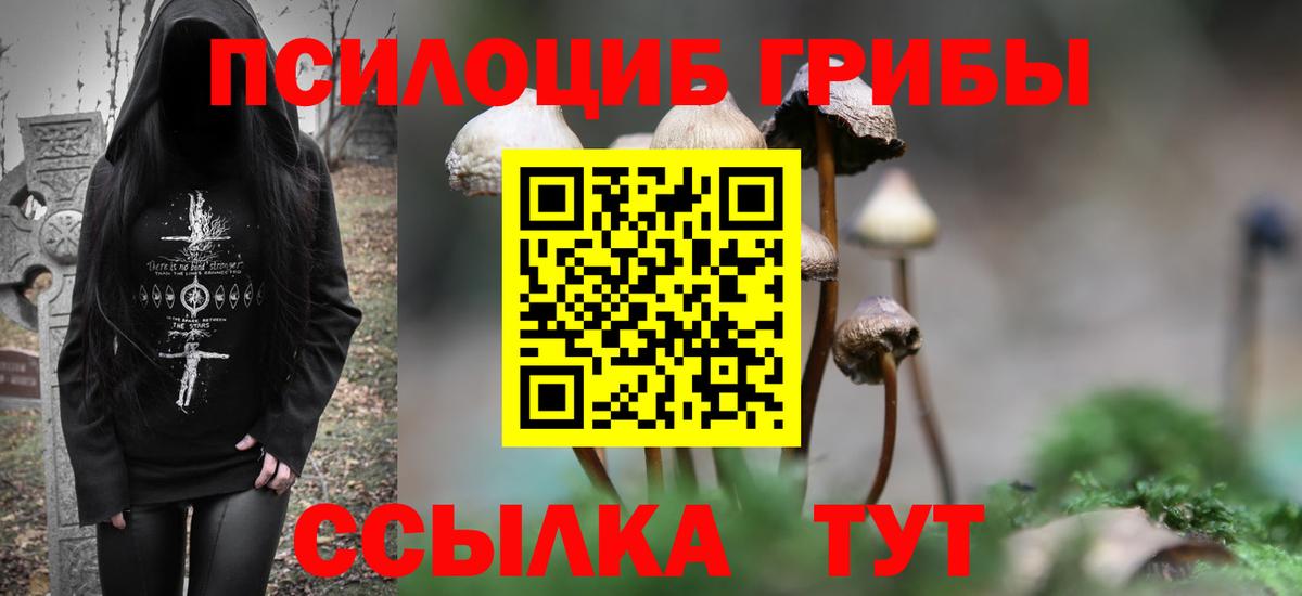 Псилоцибиновые грибы Cubensis Вятские Поляны