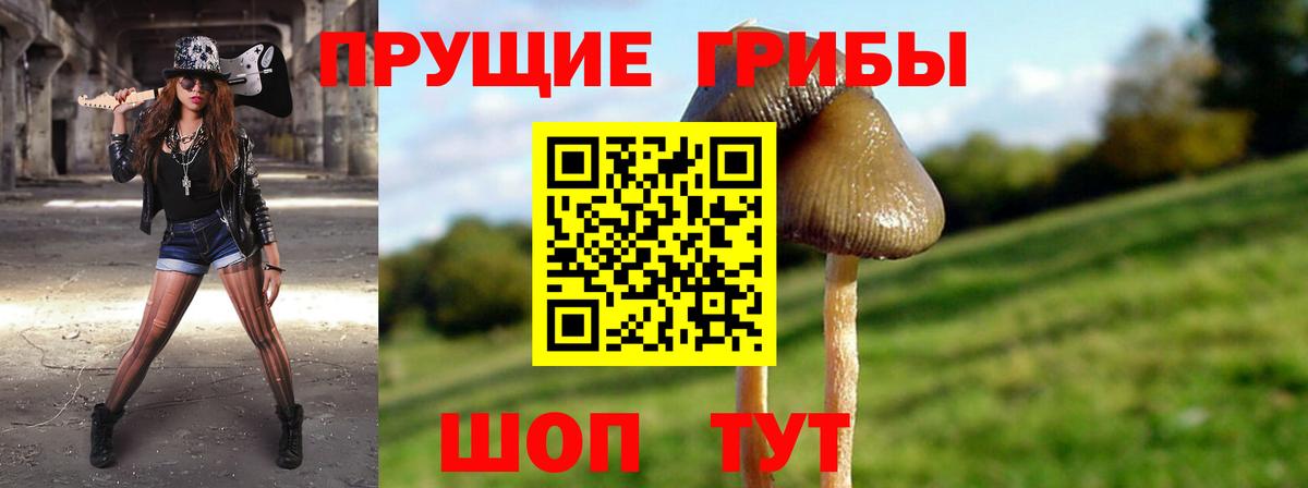 Вятские Поляны  Галлюциногенные грибы GOLDEN TEACHER  Вход с VPN  Псилоцибиновые грибы Magic Shrooms 